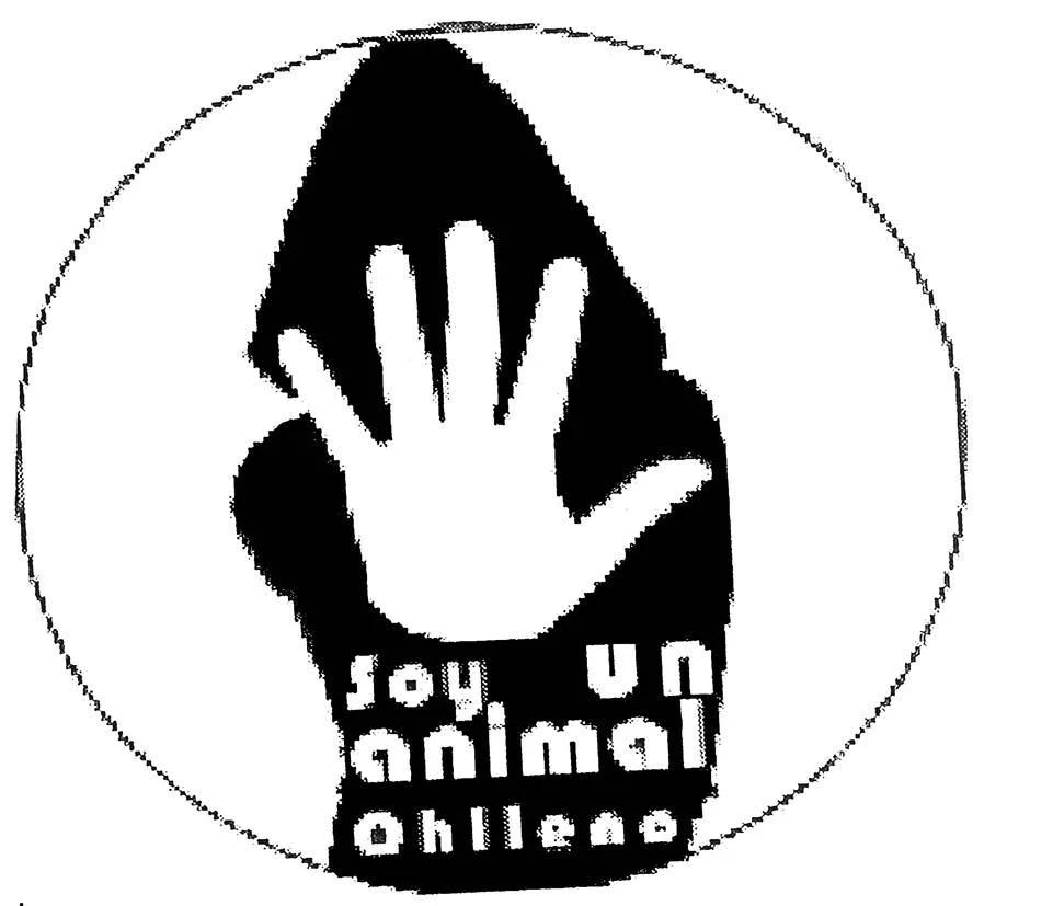 Soy un Animal chileno