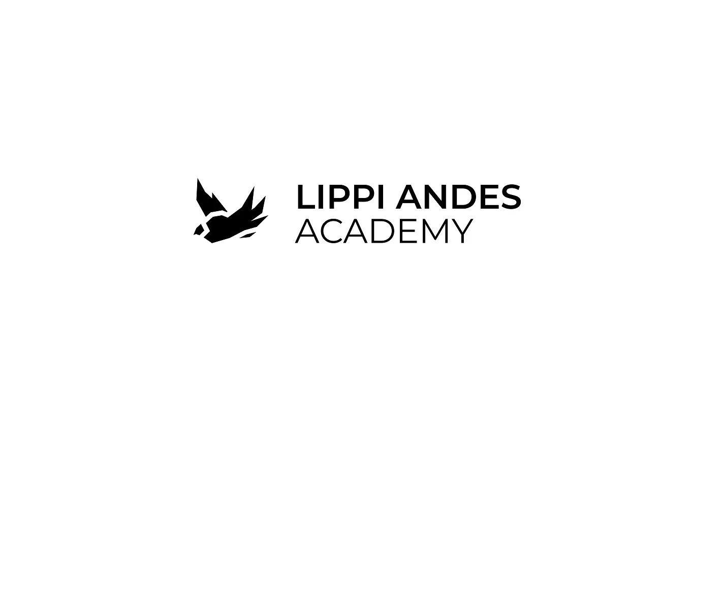 LIPPI ANDES ACADEMY