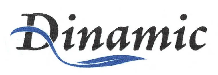DINAMIC