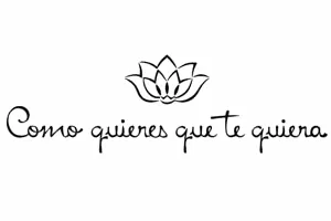 COMO QUIERES QUE TE QUIERA