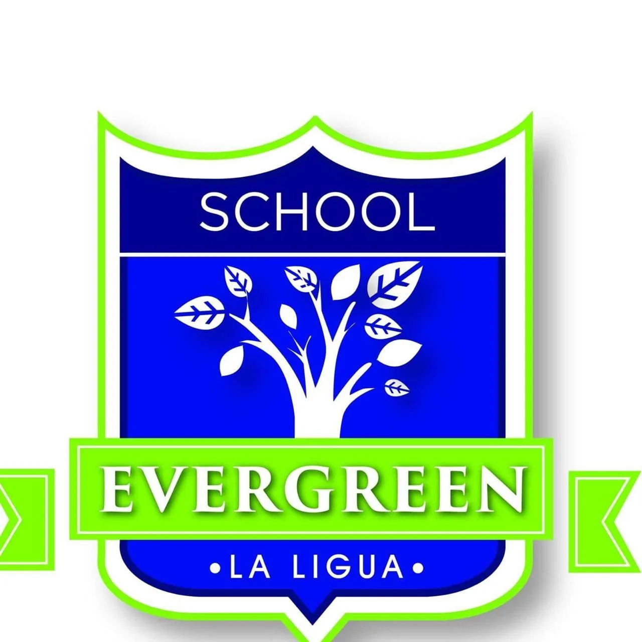 SCHOOL EVERGREEN LA LIGUA