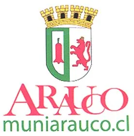 ARAUCO muniarauco.cl