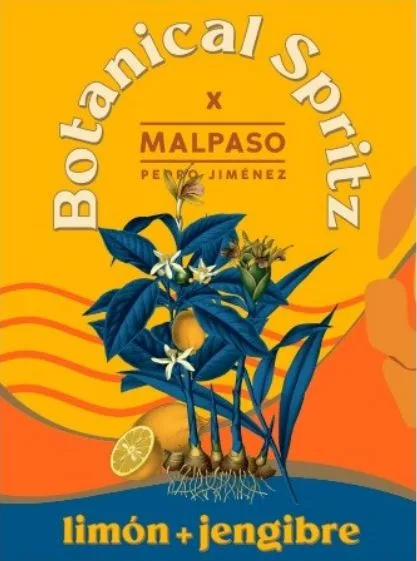 BOTANICAL SPRITZ X MALPASO PEDRO JIMÉNEZ LIMÓN + JENGIBRE
