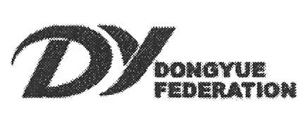 DY DONGYUE FEDERATION
