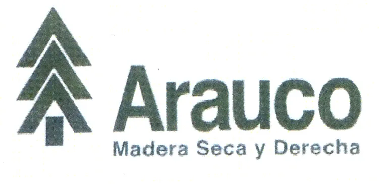 ARAUCO - MADERA SECA Y DERECHA