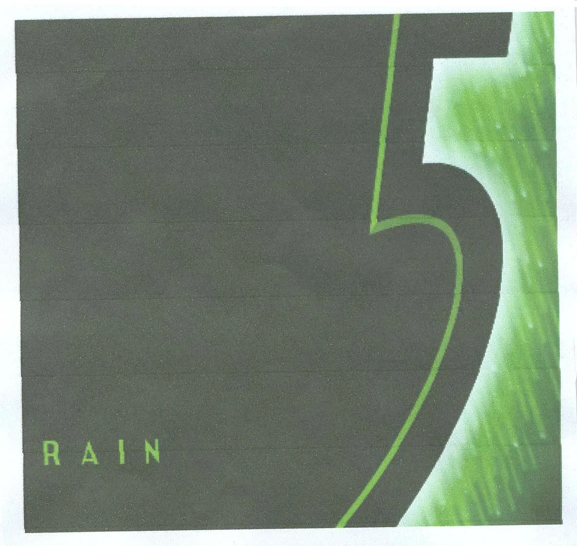 RAIN 5