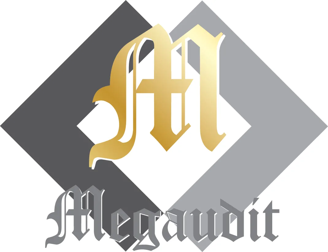 M MEGAUDIT