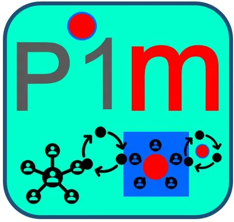 P1M