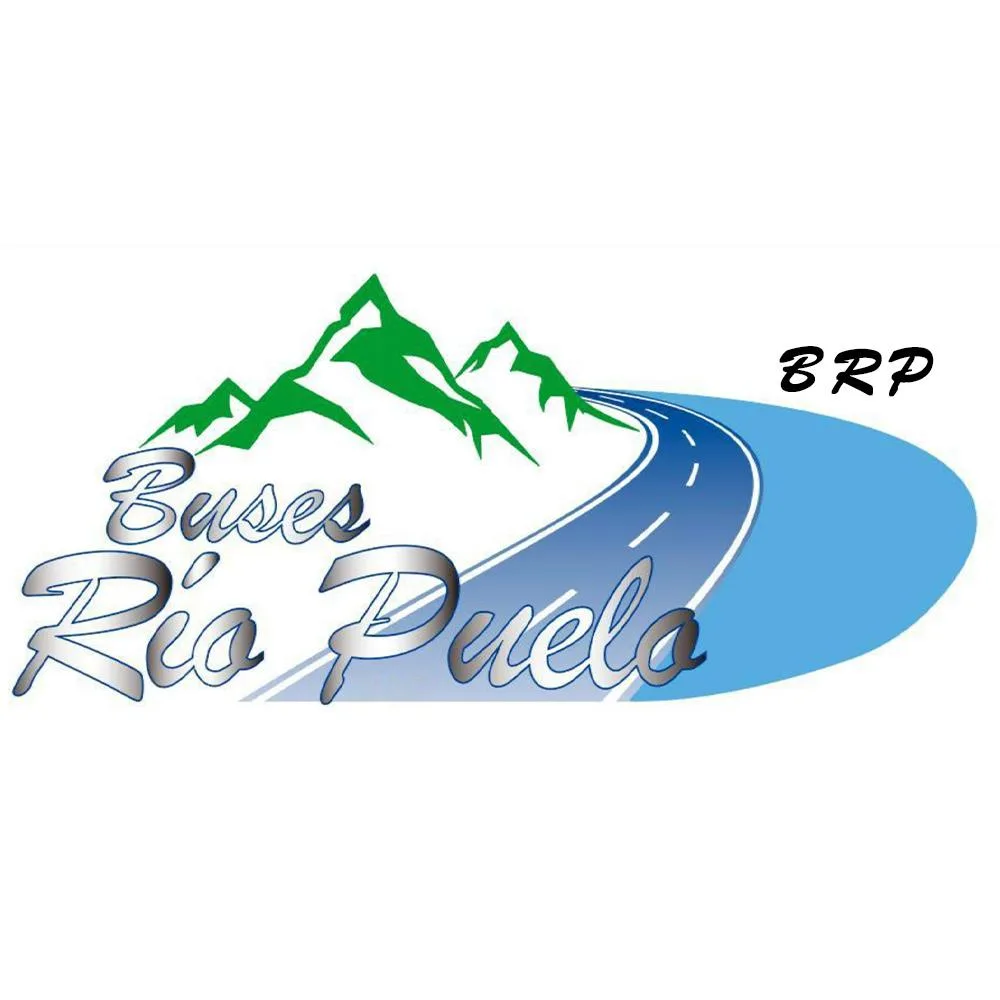 BRP Buses Río Puelo