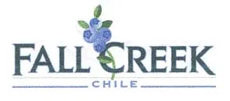 FALL CREEK