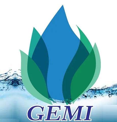 GEMI