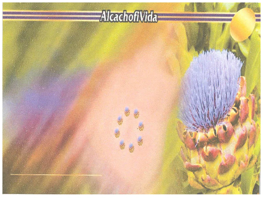 ALCACHOFIVIDA