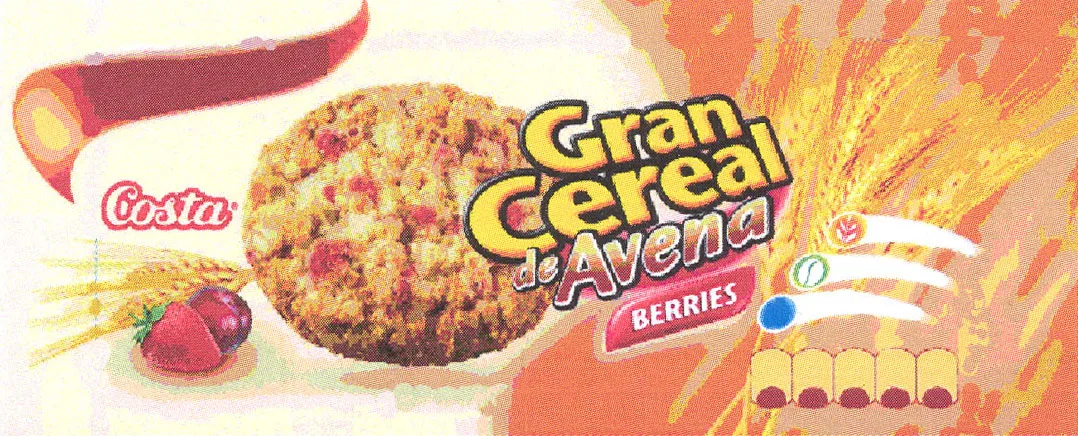 COSTA GRAN CEREAL DE AVENA BERRIES