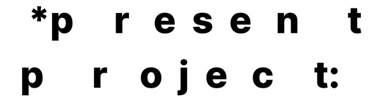 Present Project