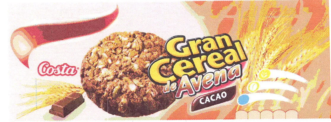 COSTA GRAN CEREAL DE AVENA CACAO