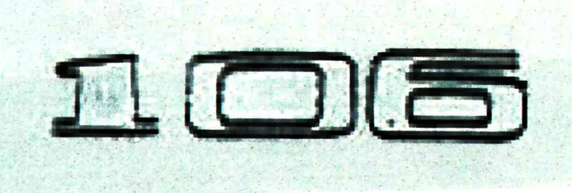 106