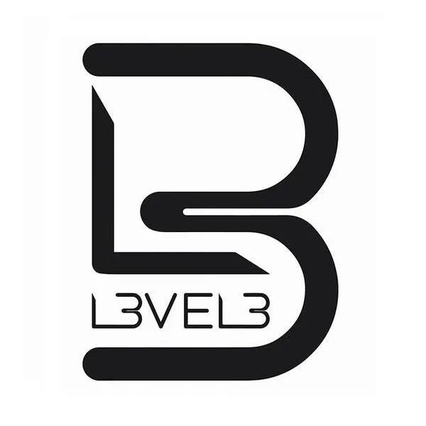 L3 L3VEL3