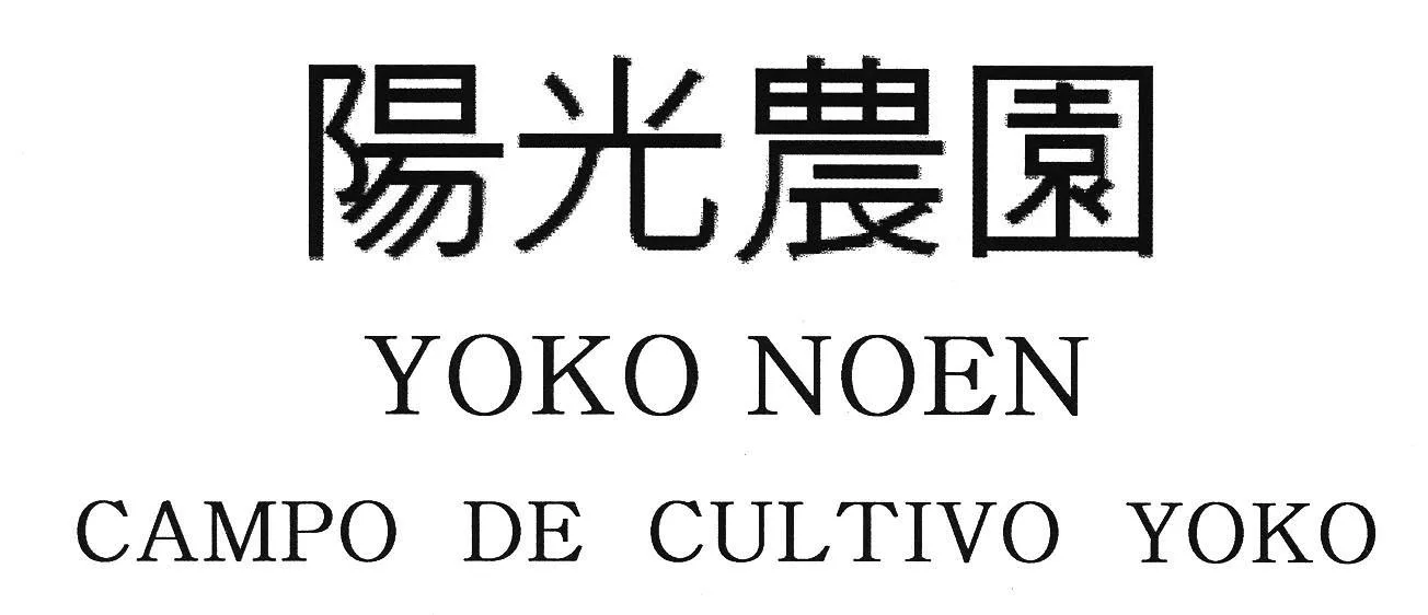 YOKO NOEN CAMPO DE CULTIVO YOKO