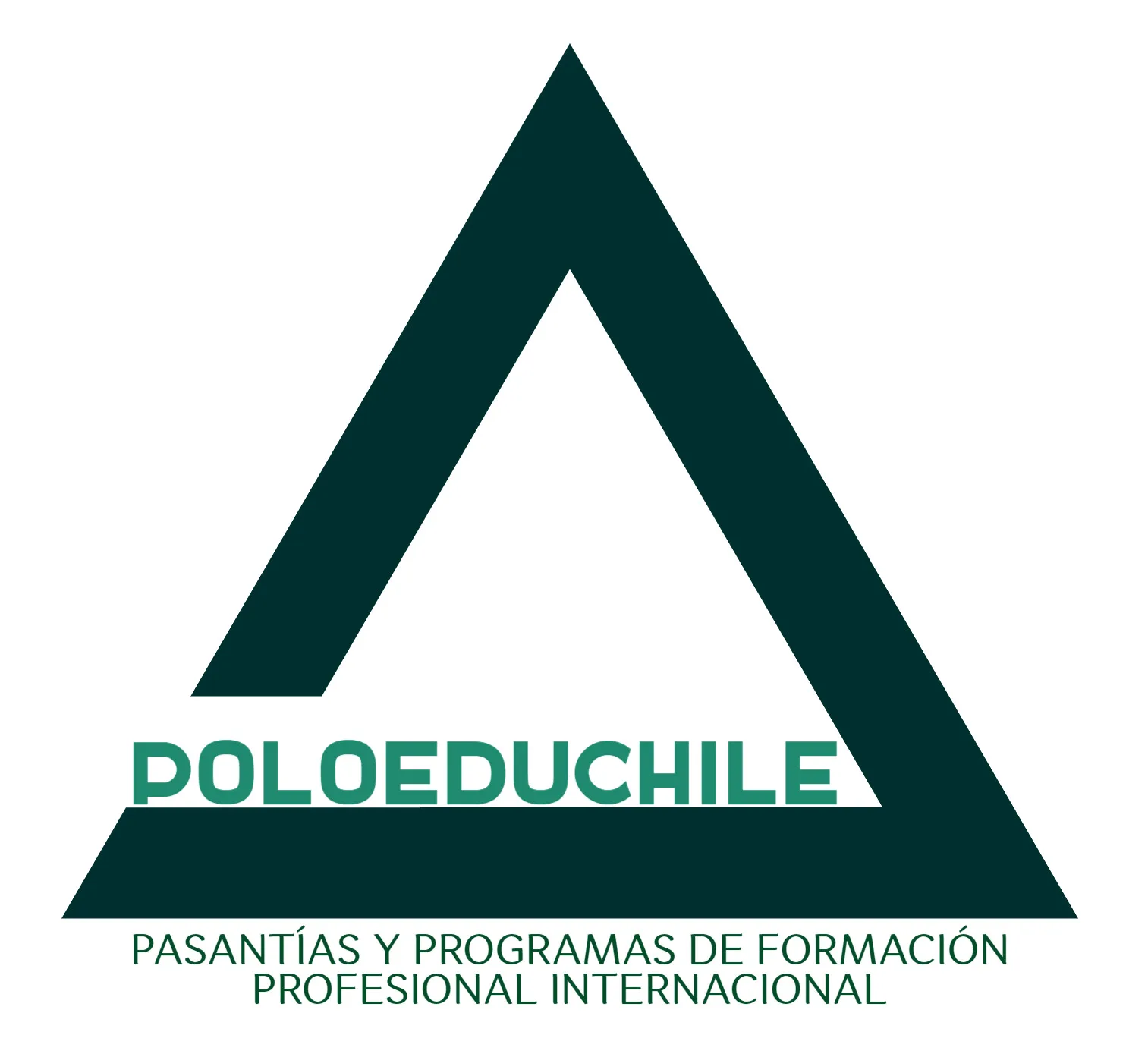POLOEDUCHILE PASANTÍA Y PROGRAMAS DE FORMACIÓN PROFESIONAL INTERNACIONAL
