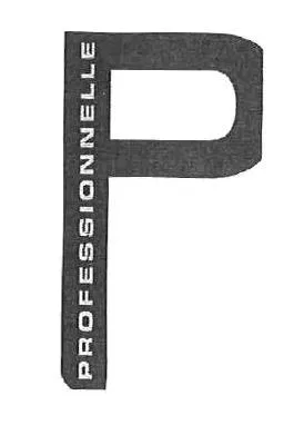 P PROFESSIONNELLE