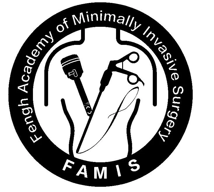 FAMIS FENGH ACADEMY OF MINIMALLY INVASIVE SURGERY