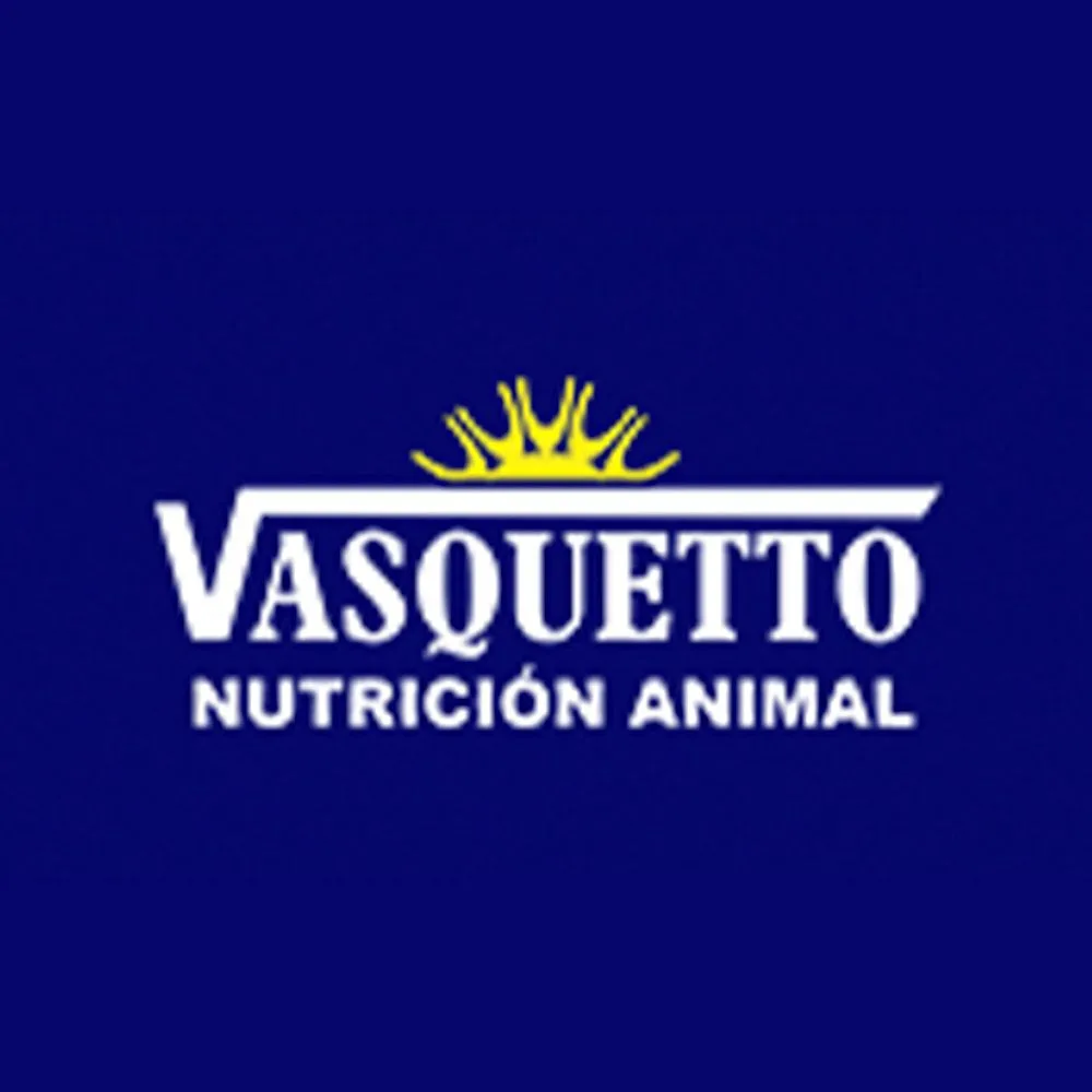 VASQUETTO