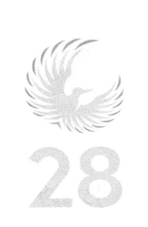 28
