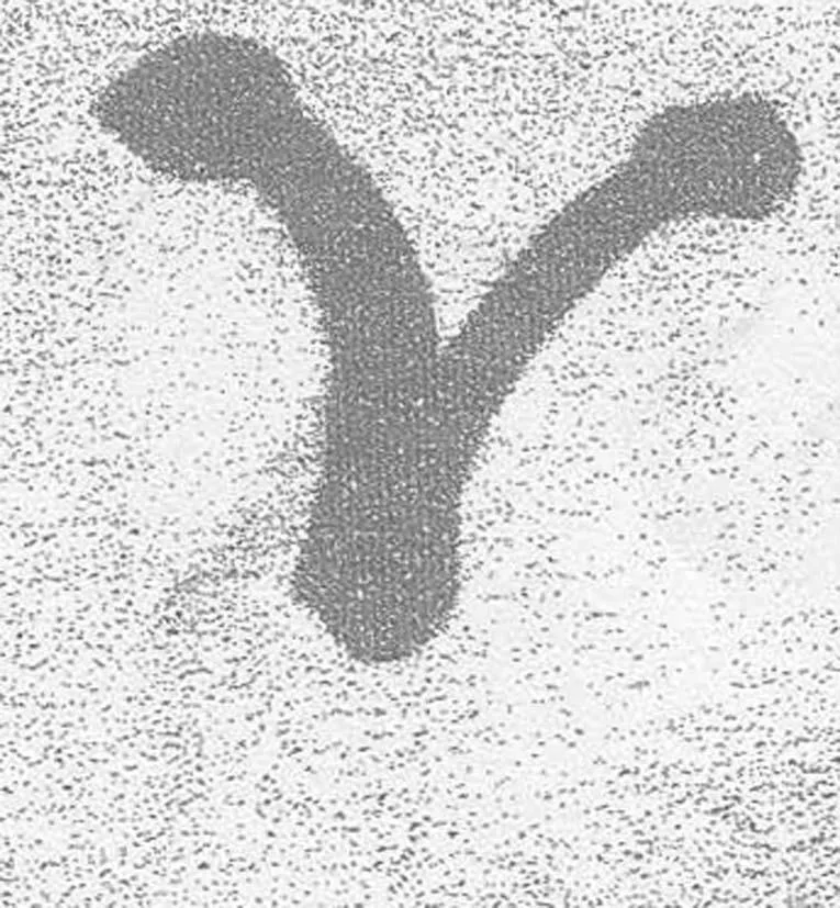 Acta 979829