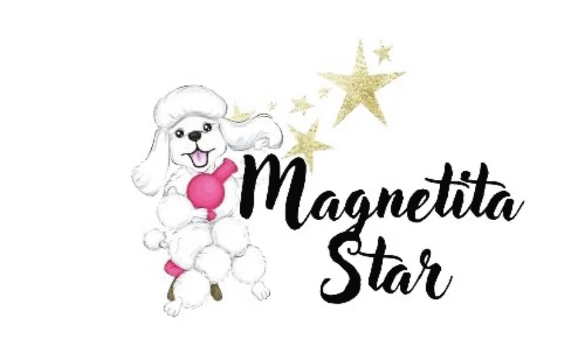 Magnetita Star