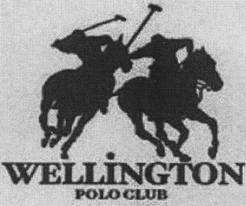 WELLINGTON POLO CLUB