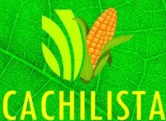 CACHILISTA