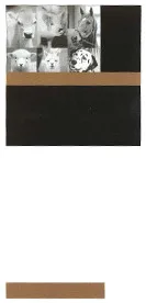 Acta 1314834