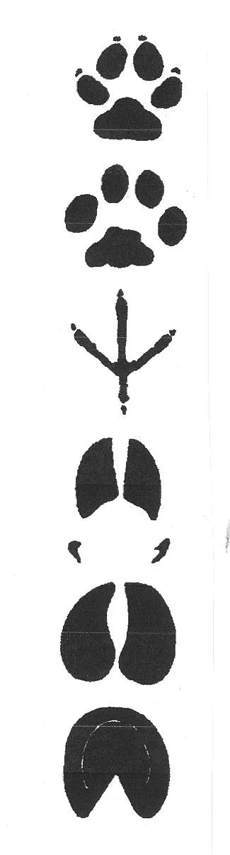 Acta 849835