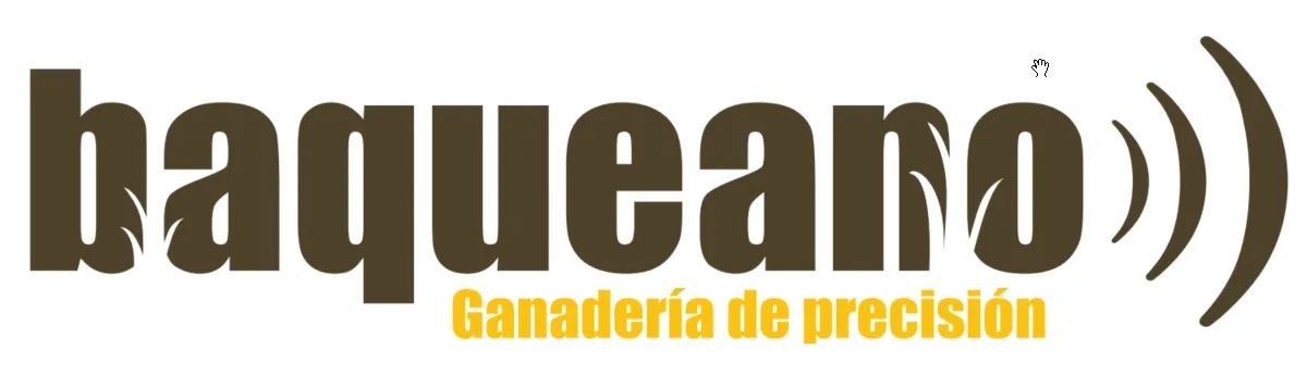 baqueano