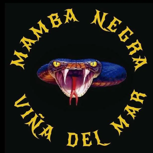 MAMBA NEGRA VIÑA DEL MAR