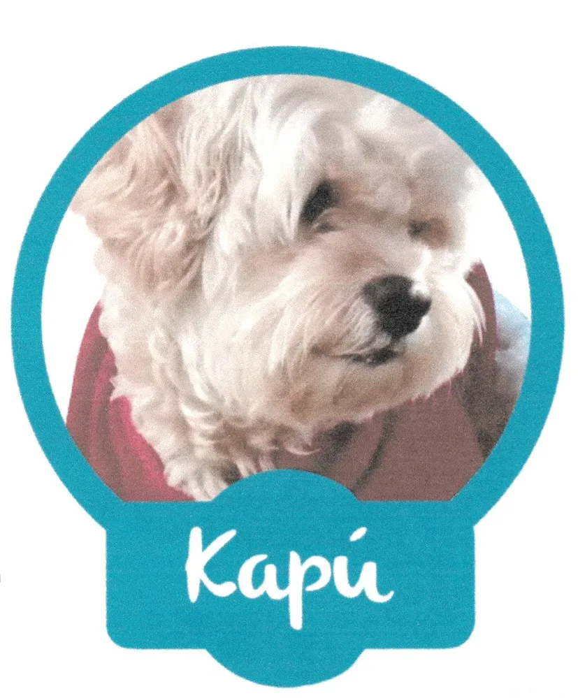 KAPÚ