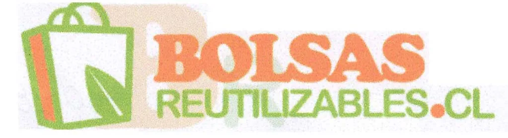BR BOLSAS REUTILIZABLES.CL