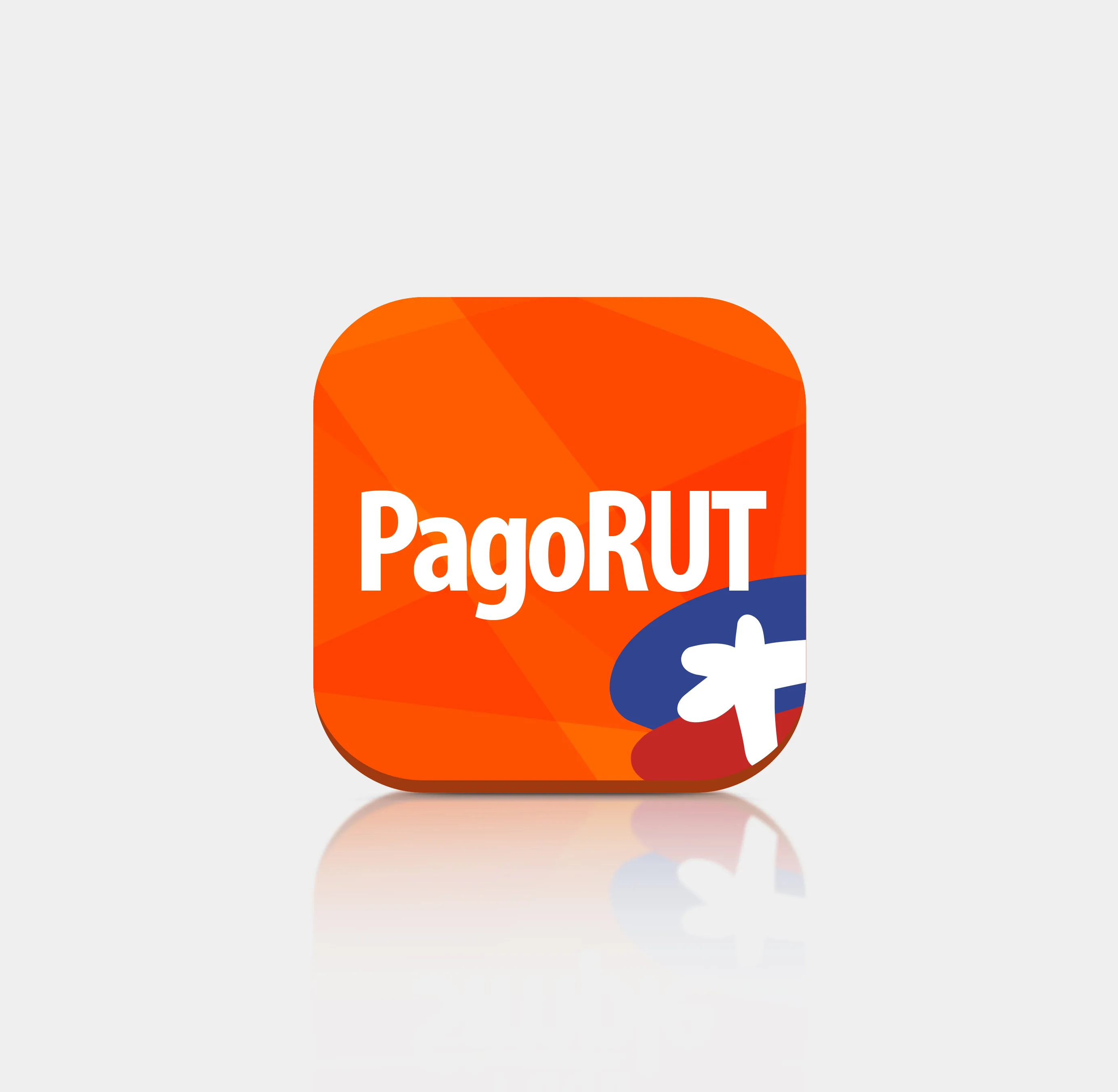 PagoRut