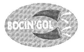 BOCIN'GOL