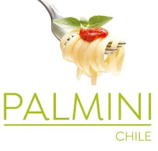 Palmini Chile