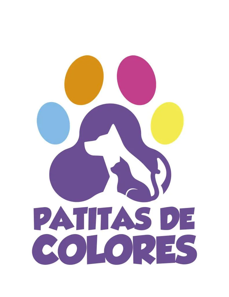 Patitas de colores