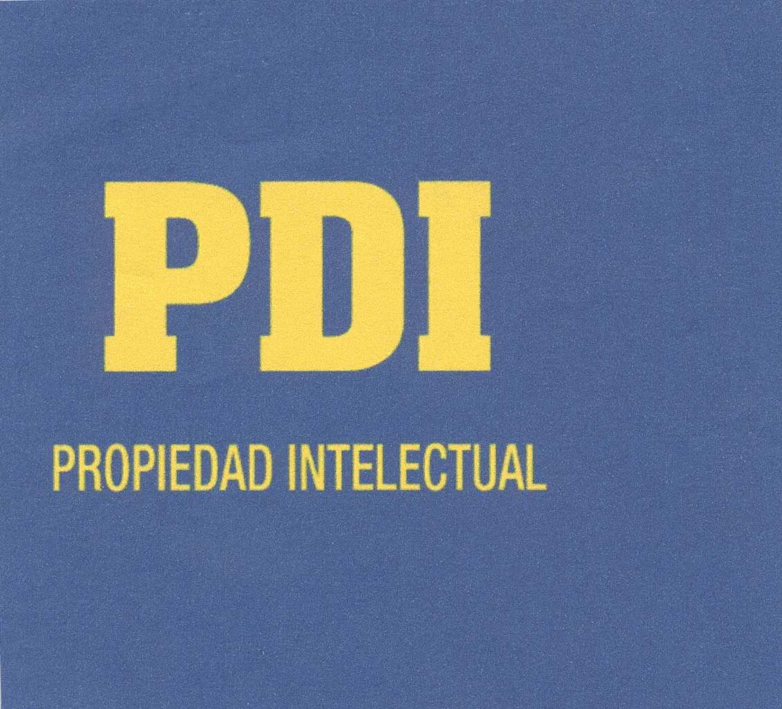PDI PROPIEDAD INTELECTUAL