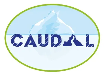 CAUDAL