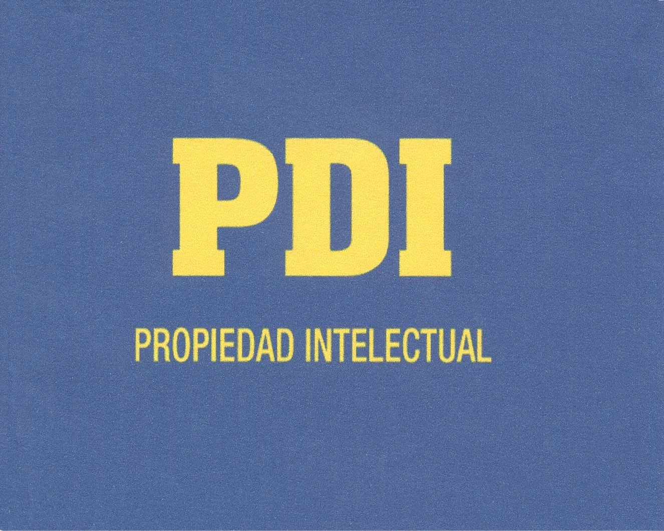PDI PROPIEDAD INTELECTUAL