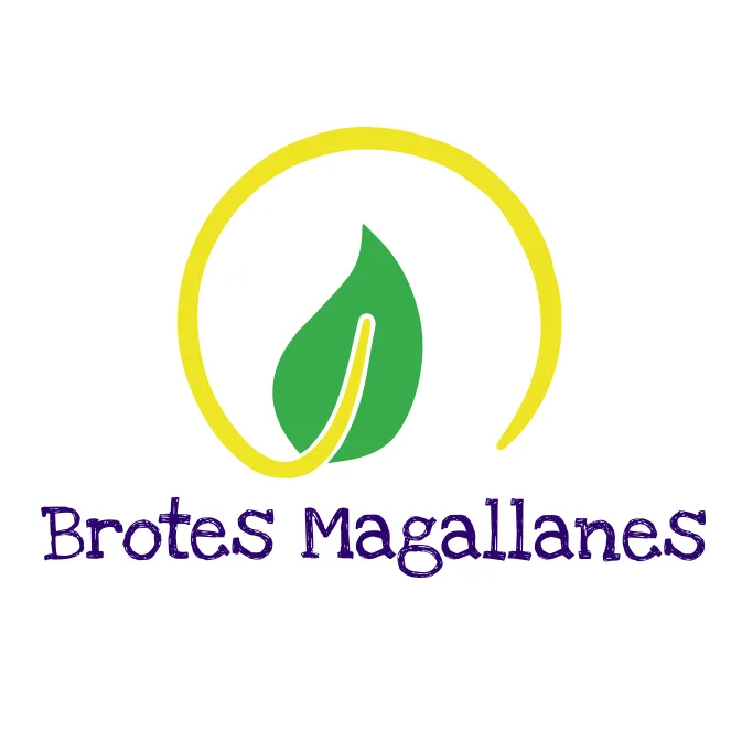 Brotes Magallanes