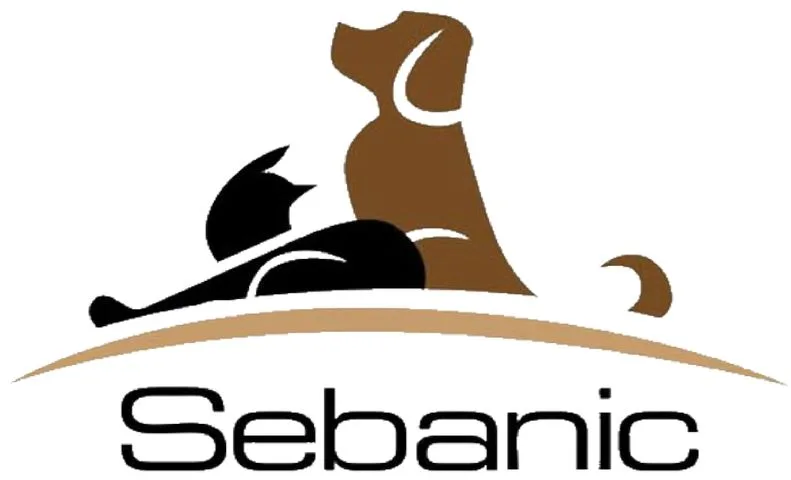 Sebanic