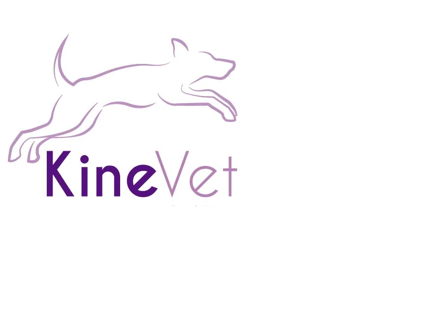 KINEVET