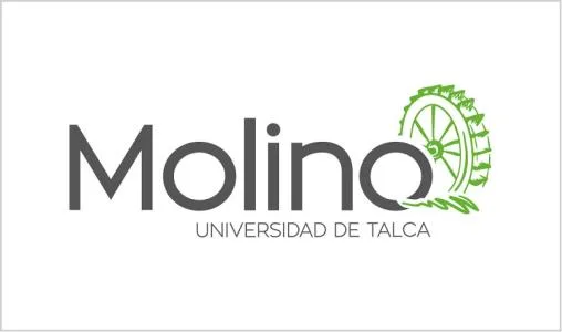 MOLINO UNIVERSIDAD DE TALCA