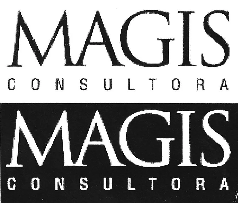 MAGIS CONSULTORA