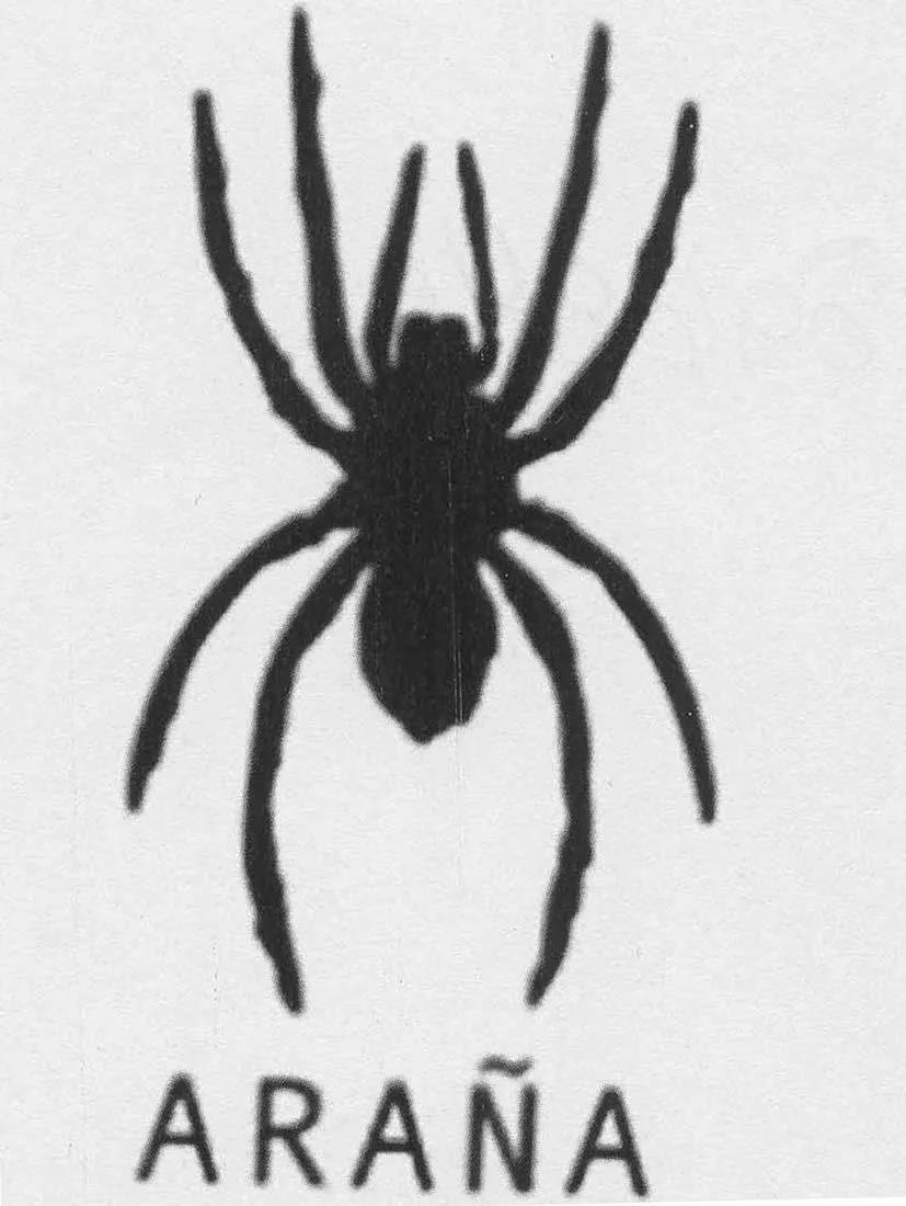ARAÑA